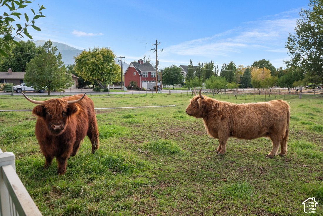 House in Mapleton, Utah, United States 3 - 19079599