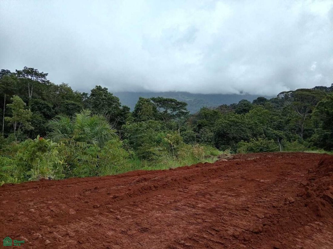Land in Savegre de Aguirre, Puntarenas Province, Costa Rica 2 - 19063056