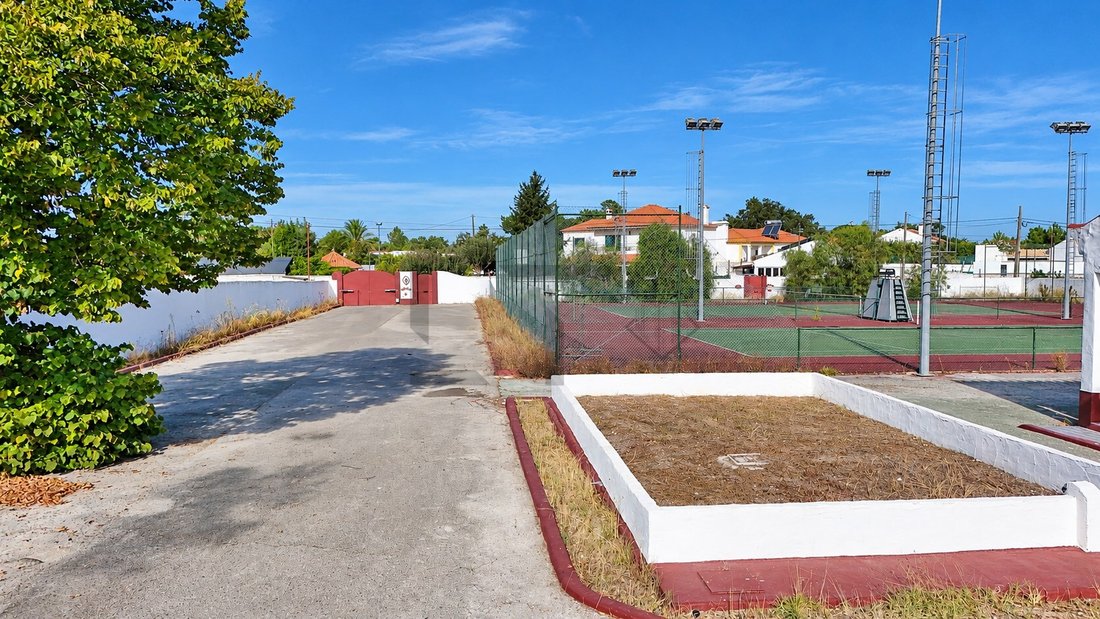 Haus in Palmela, Setúbal Municipality, Portugal 5 - 19083065