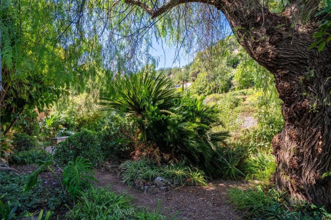 Finca in Soller, Balearic Islands, Spain 4 - 19081015