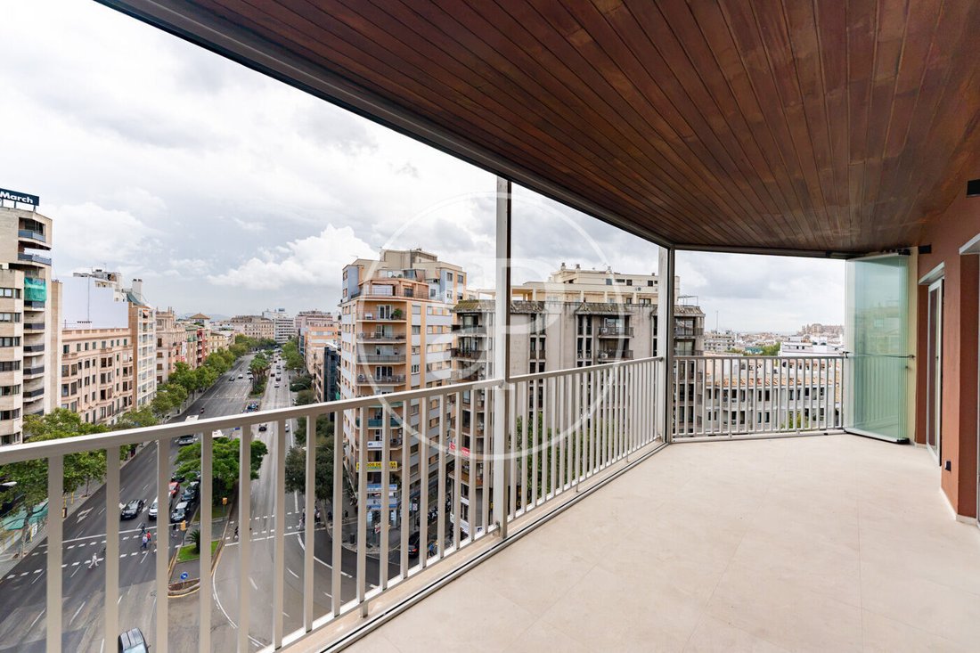 Apartment in Palma, Balearic Islands, Spain 3 - 19077258