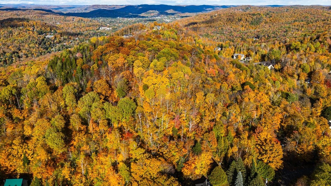Terreno a Saint-Sauveur, Québec, Canada 3 - 19076291