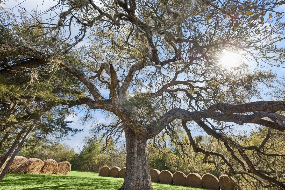 Azienda agricola a Burton, Texas, Stati Uniti 4 - 17542283