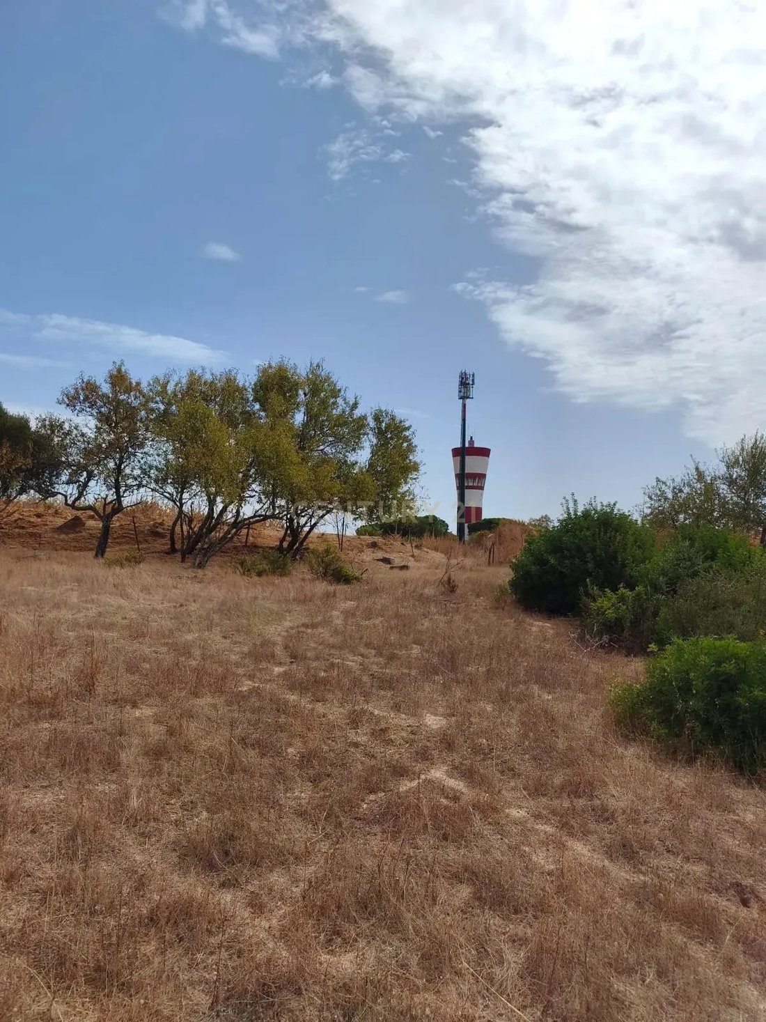 Farm Ranch in Alvor, Algarve, Portugal 4 - 19077173