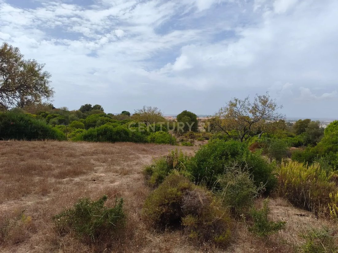 Farm Ranch in Alvor, Algarve, Portugal 3 - 19077173