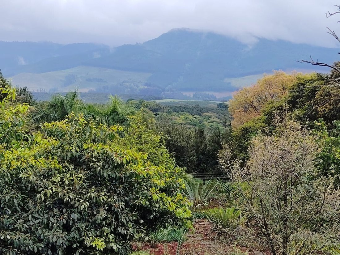 Azienda agricola a Louis Trichardt, Provincia del Limpopo, Sudafrica 1 - 19081429