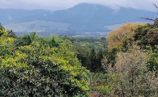 Rancho en Louis Trichardt, Provincia de Limpopo, Sudáfrica 1