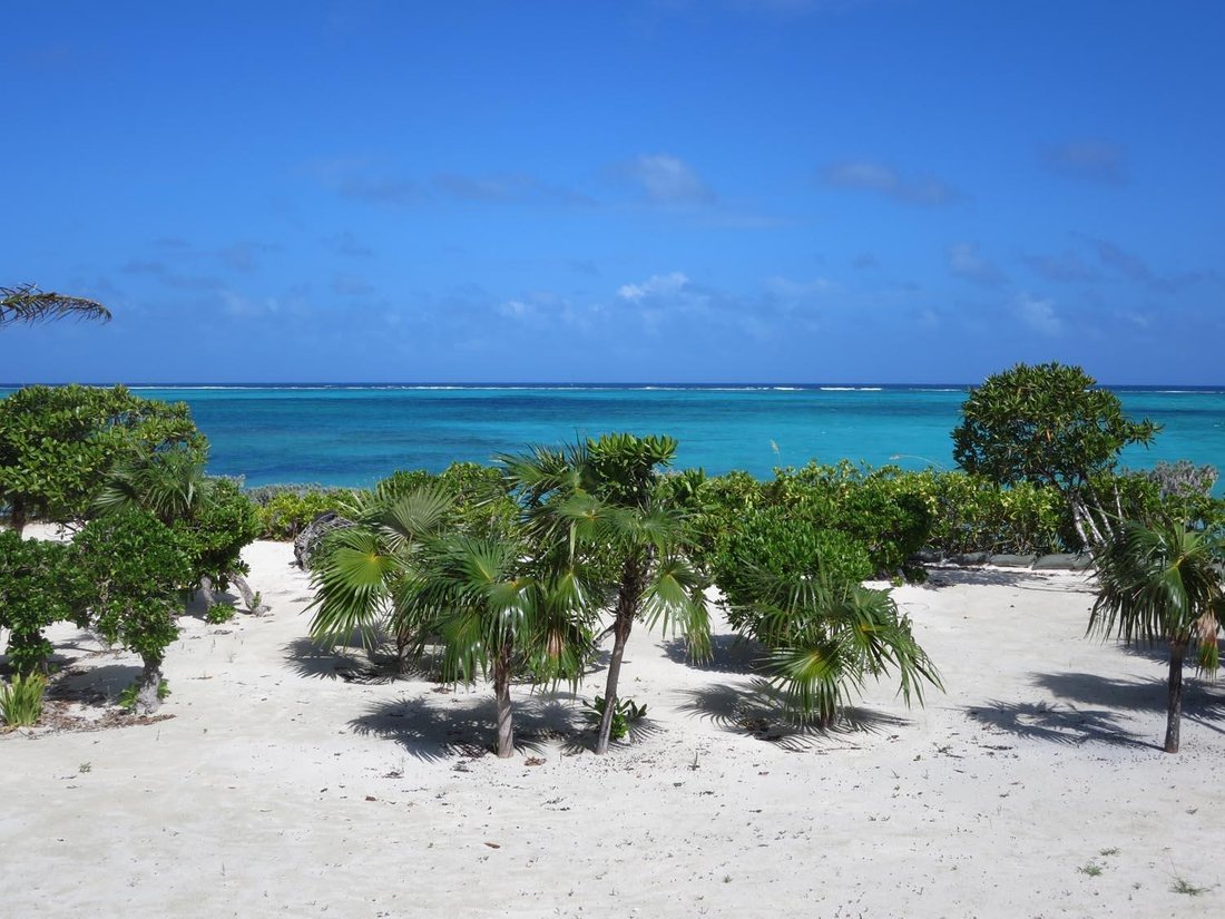Casa en Whitby, Caicos Islands, Islas Turcas y Caicos 4 - 19077377