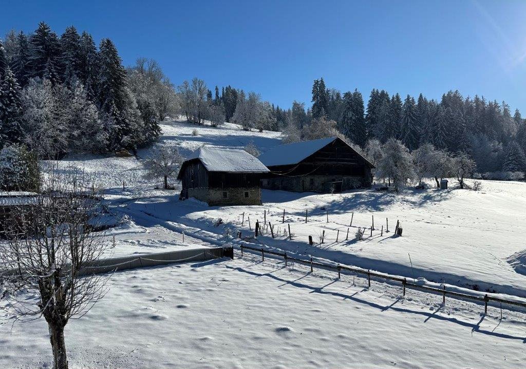 Terreno a Megève, Auvergne-Rodano-Alpi, Francia 5 - 19077968