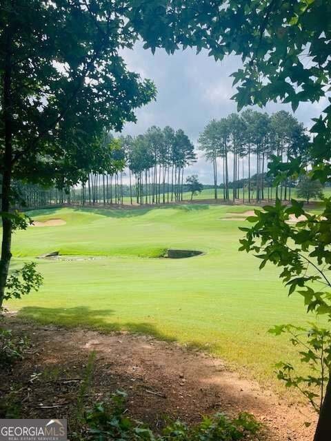 Land in Ball Ground, Georgia, United States 3 - 19077439