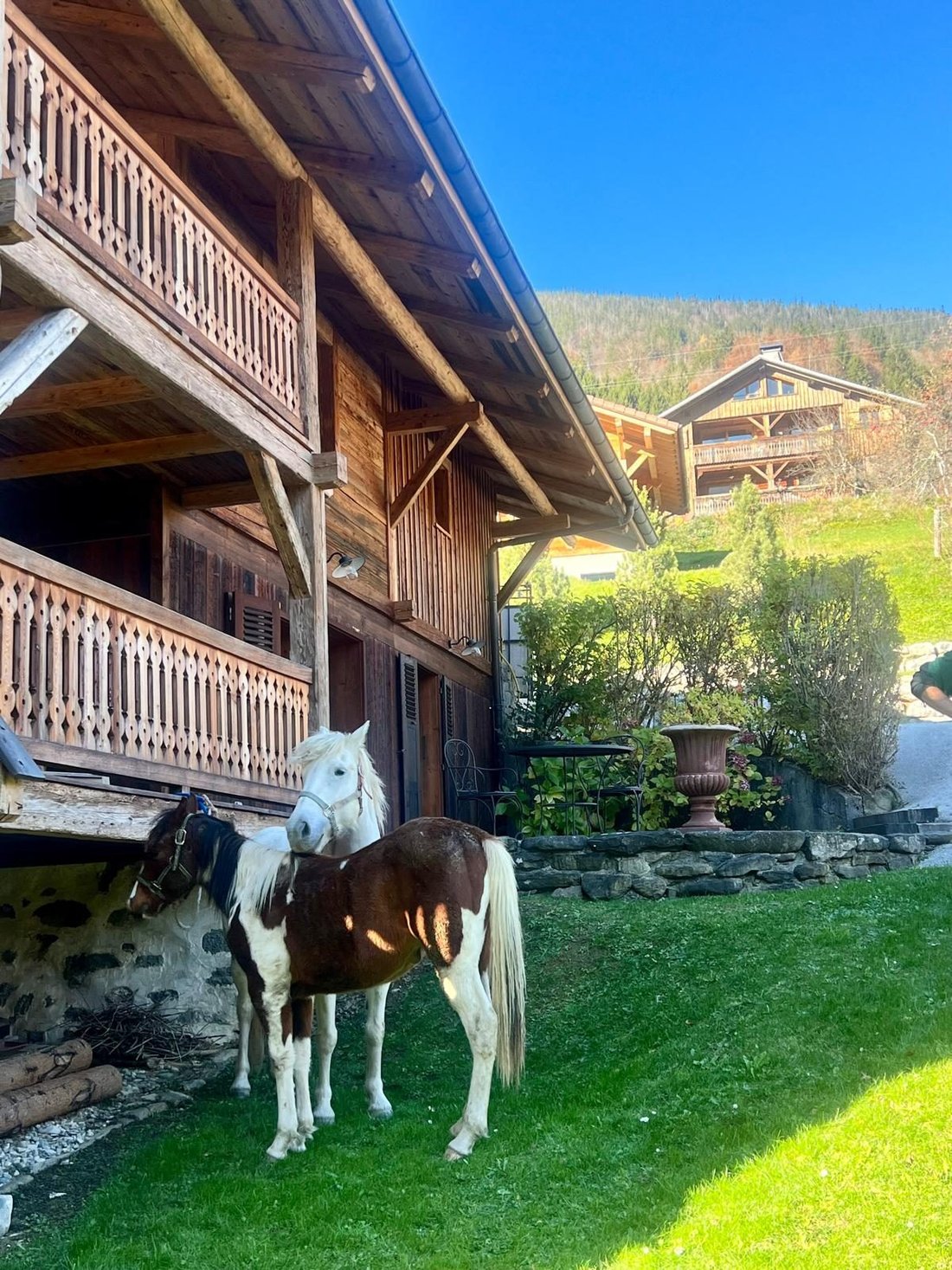 House in La Clusaz, Auvergne-Rhône-Alpes, France 5 - 19076546