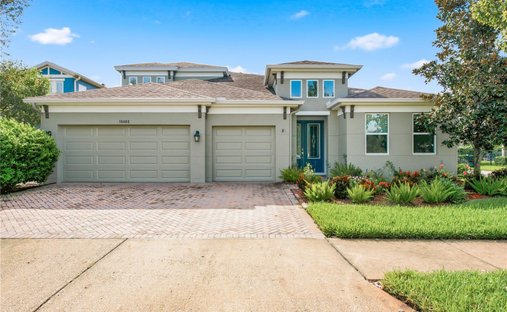 Casa a Land O' Lakes, Florida, Stati Uniti 1
