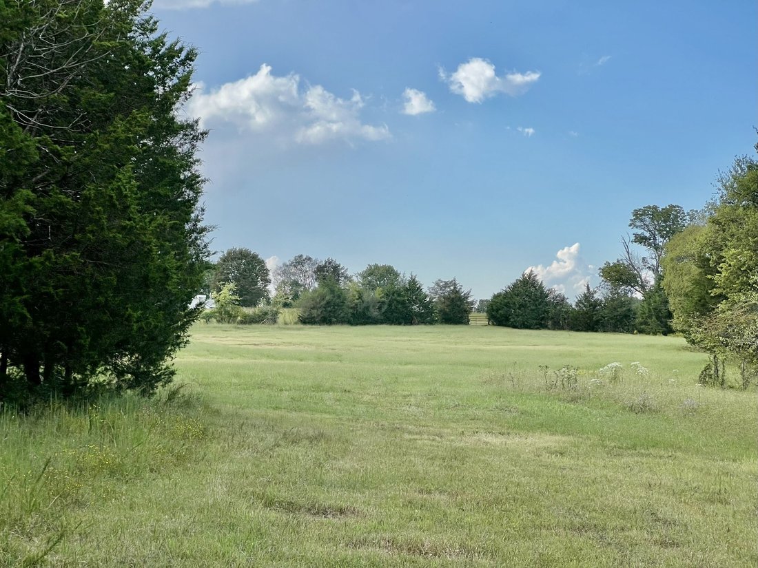 Azienda agricola a Spring Hill, Tennessee, Stati Uniti 4 - 19079689