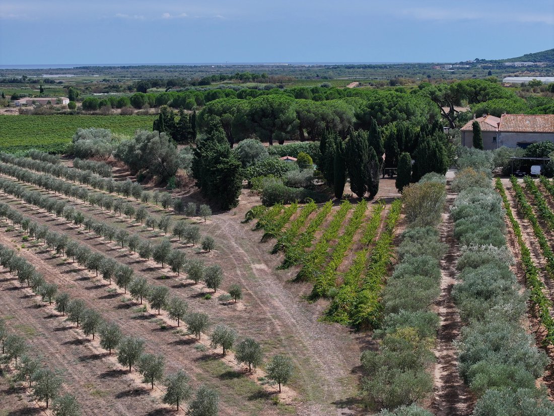 Domaine à Le Grau d'Agde, Agde, France 3 - 19081423