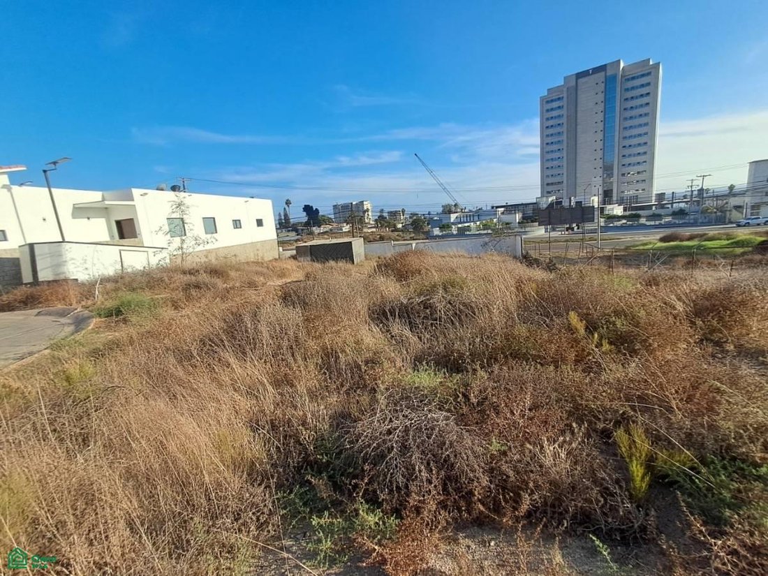 Terreno en Ensenada, Baja California, México 5 - 19076979