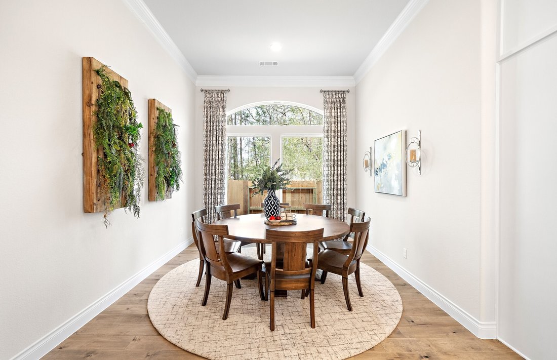 House in Conroe, Texas, United States 4 - 19079799