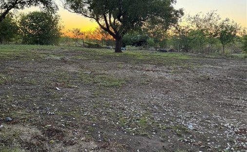 Azienda agricola a Scurry, Texas, Stati Uniti 1