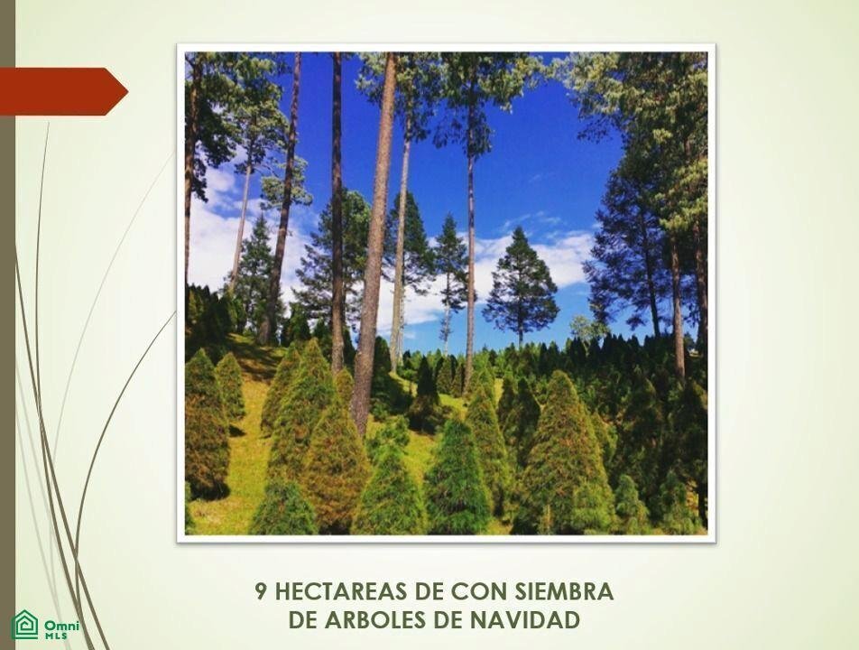 Terreno en Las Vigas de Ramírez, Veracruz, México 5 - 17810830