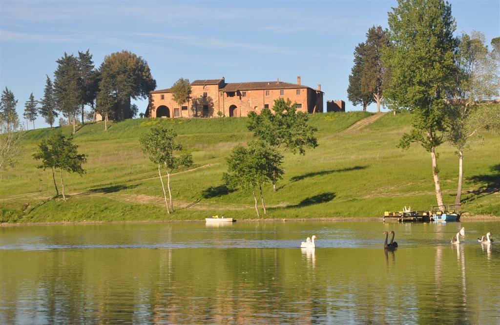Maisons de campagne à Peccioli, Toscane, Italie 2 - 19087291