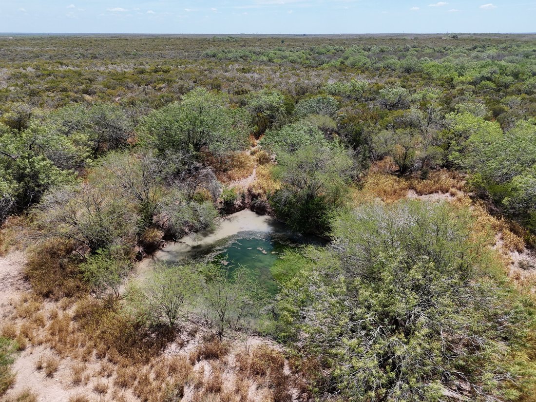 Farm Ranch in San Diego, Texas, United States 4 - 19087025