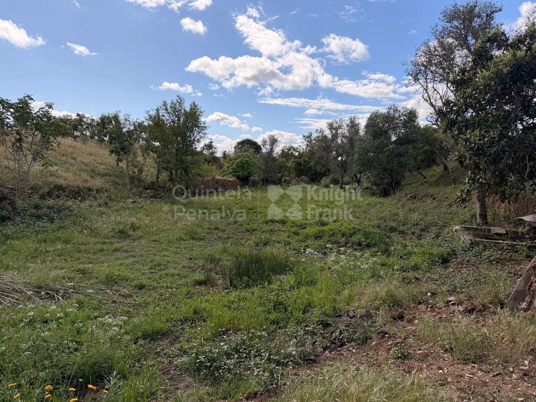 Terreno a Abela, Setúbal Municipality, Portogallo 5 - 19090845