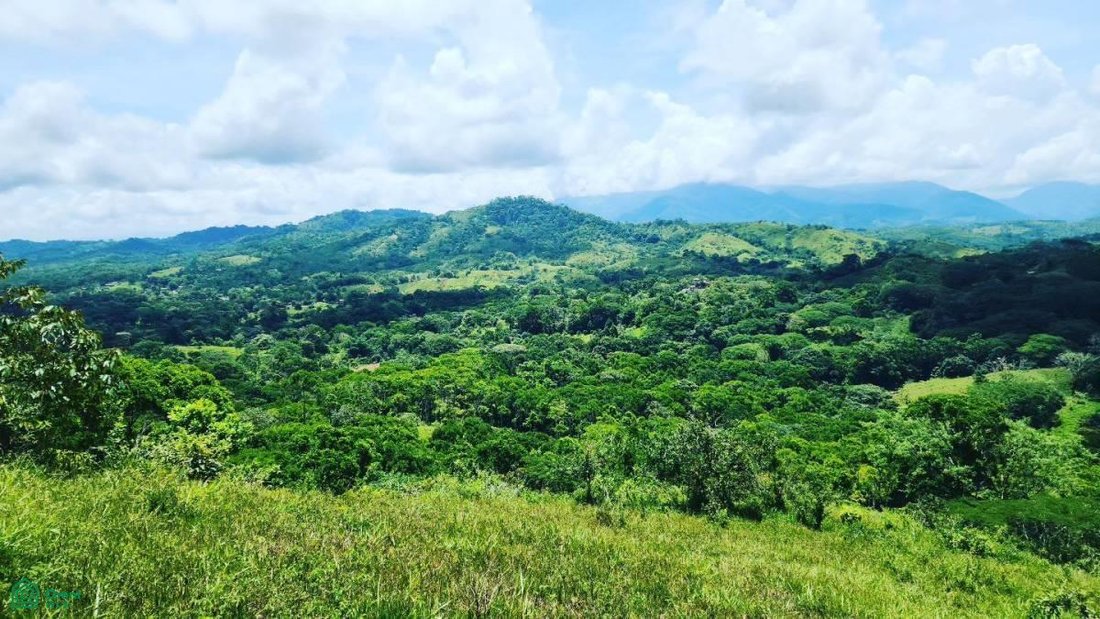 Land in Carara, San José, Costa Rica 2 - 17811421