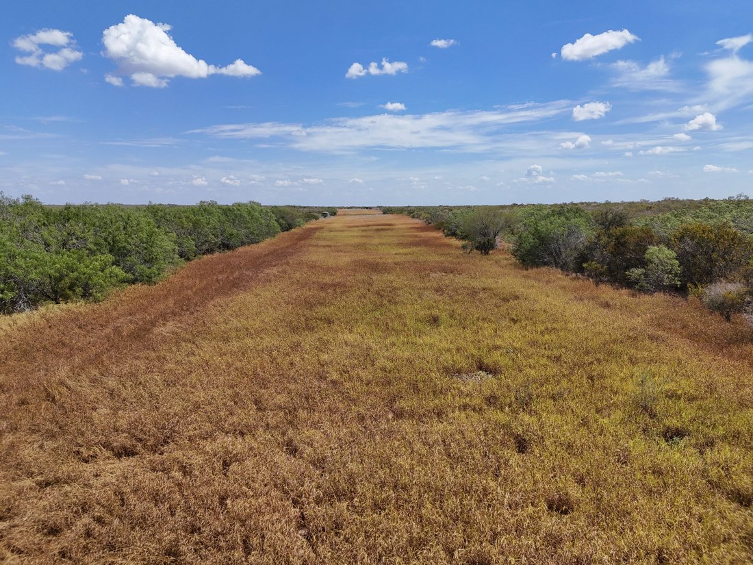Farm Ranch in San Diego, Texas, United States 2 - 19087025
