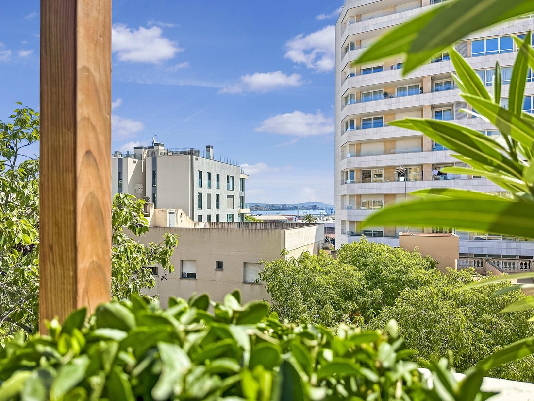 Penthouse in Palma, Balearische Inseln, Spanien 2 - 19087651