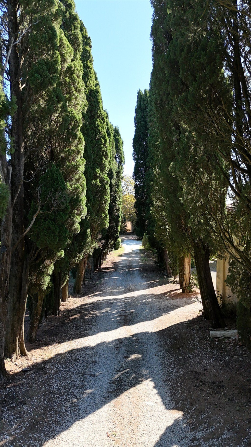 Villa a Barberino di Mugello, Toscana, Italia 5 - 19089085