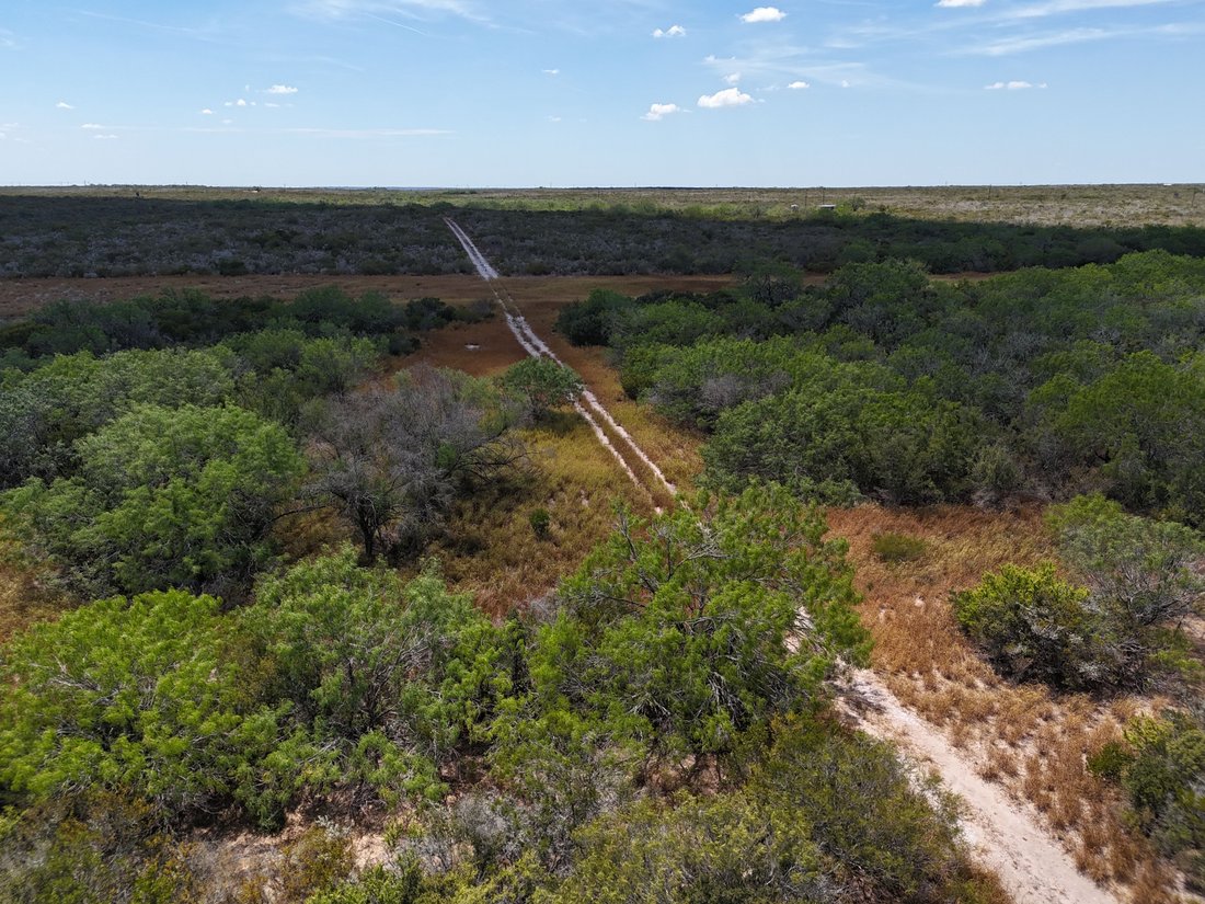 Farm Ranch in San Diego, Texas, United States 1 - 19087025
