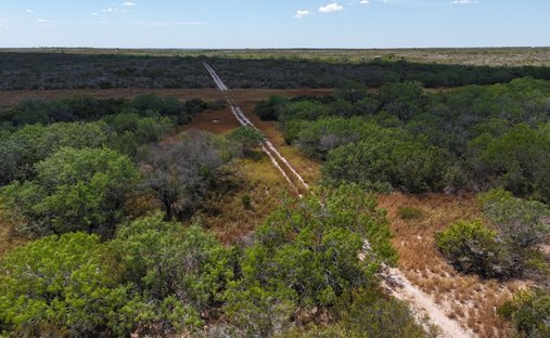 Azienda agricola a San Diego, Texas, Stati Uniti 1
