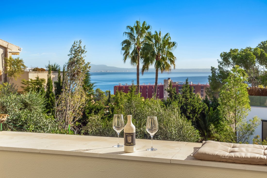Apartment in Calvia, Balearic Islands, Spain 4 - 19087913