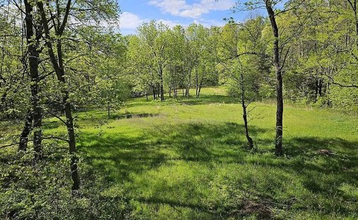 Farm Ranch in Bethpage, Tennessee, Vereinigte Staaten 1