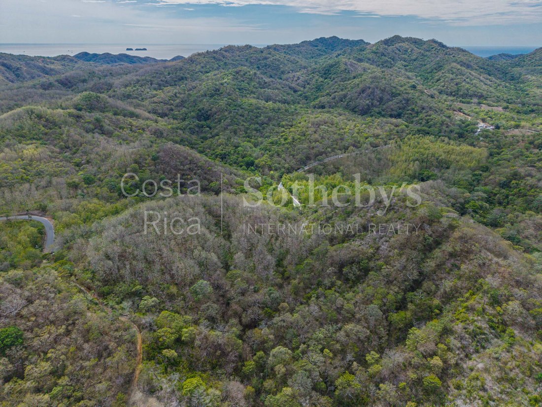Terrain à Carrillo, Carrillo, Costa Rica 4 - 19091853