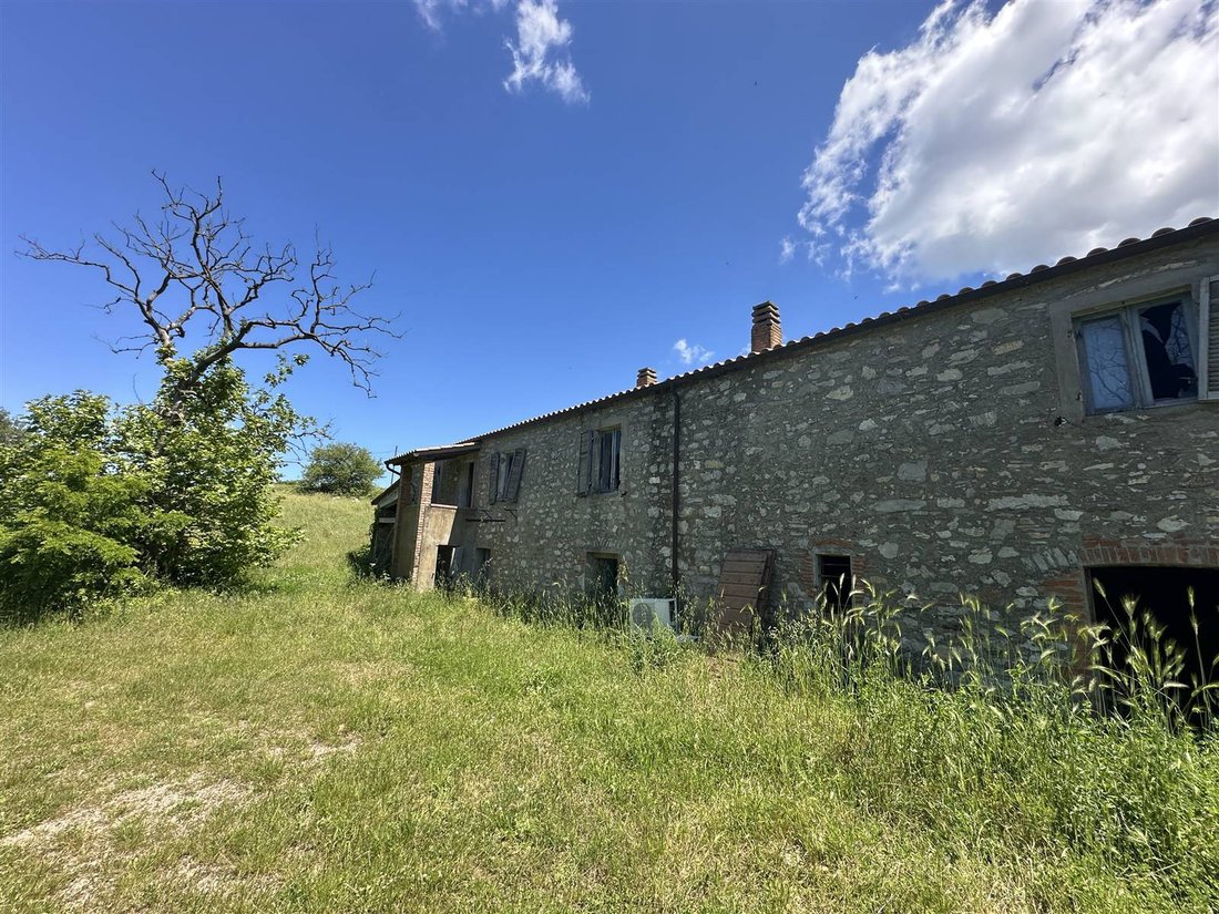 Landhaus in Scansano, Toskana, Italien 2 - 19087401
