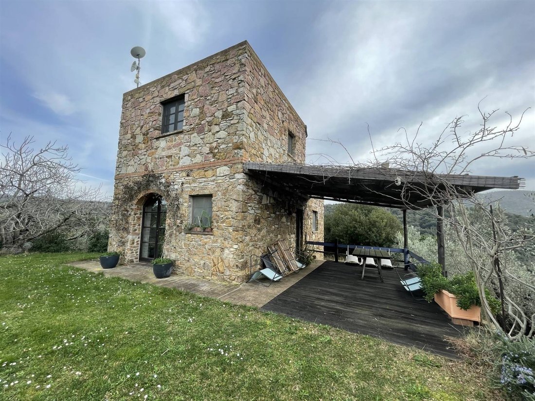 Anwesen in Castagneto Carducci, Toskana, Italien 3 - 19087335