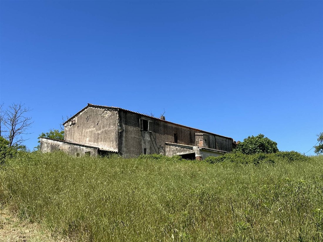 Landhaus in Scansano, Toskana, Italien 4 - 19087401