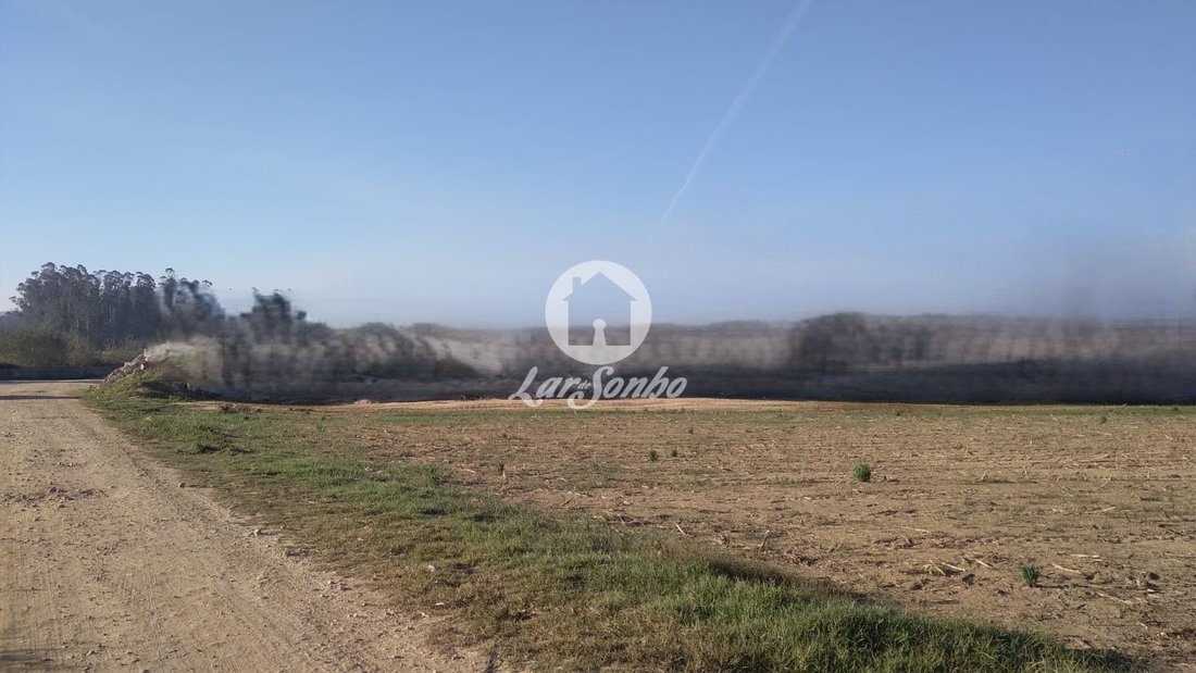 Terreno en Rates, Distrito de Oporto, Portugal 4 - 12453172