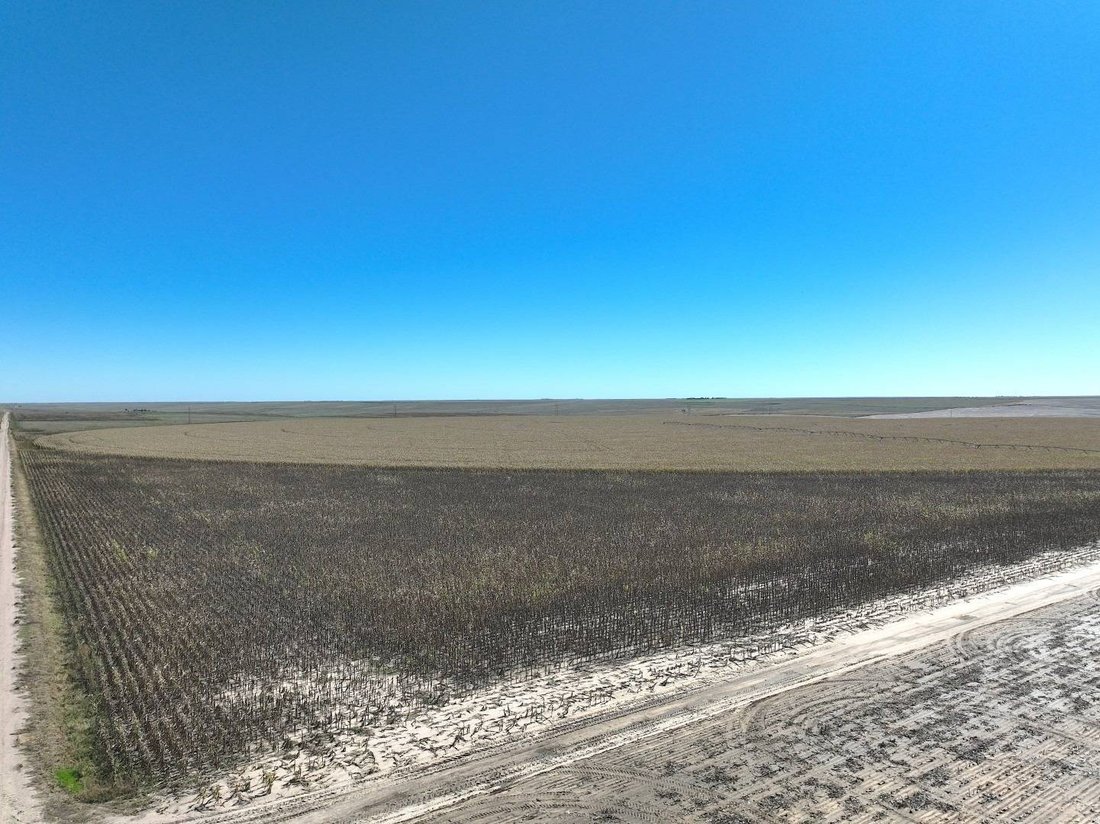 Terrain à Goodland, Kansas, États-Unis 3 - 19090066
