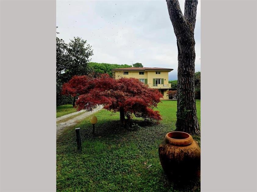 Villa in Centro, Forte dei Marmi, Toskana 4 - 19087280