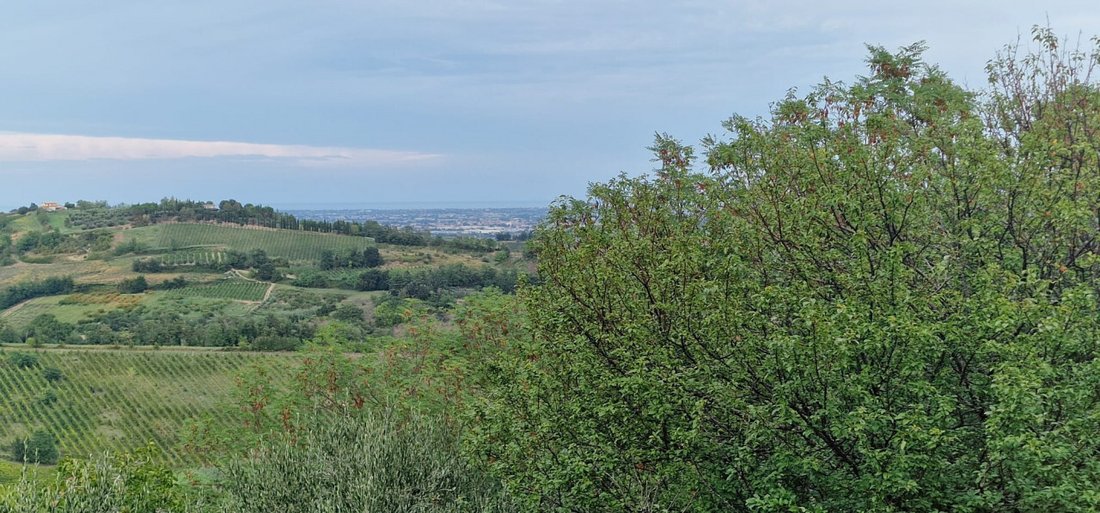 Villa in Sorrivoli, Emilia-Romagna, Italia 3 - 18911576