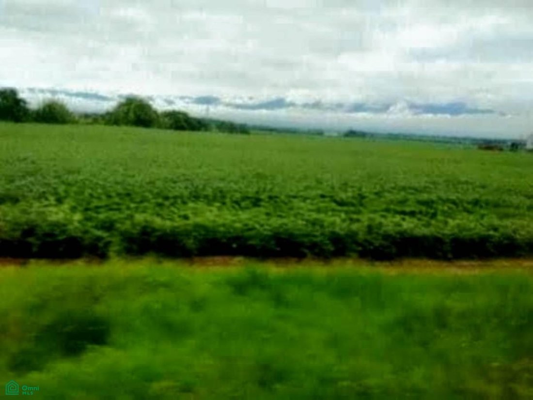Land in Boca de Uchire, Miranda, Venezuela 5 - 18329967