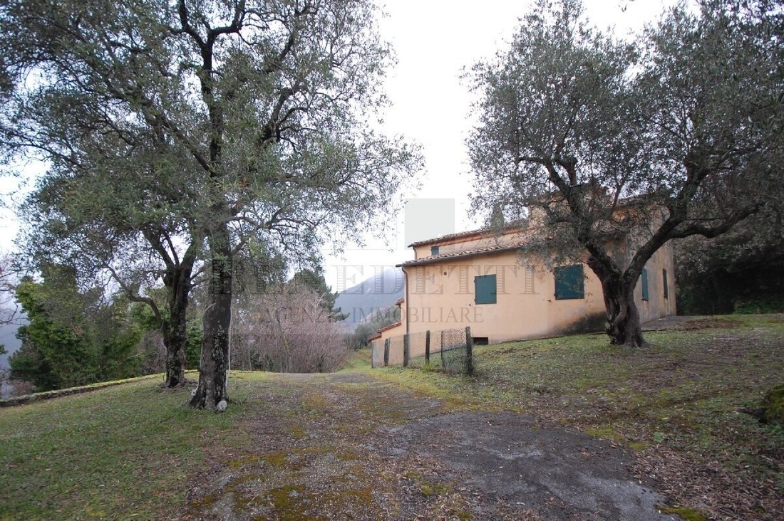 Maison à Pietrasanta, Toscane, Italie 4 - 19087341