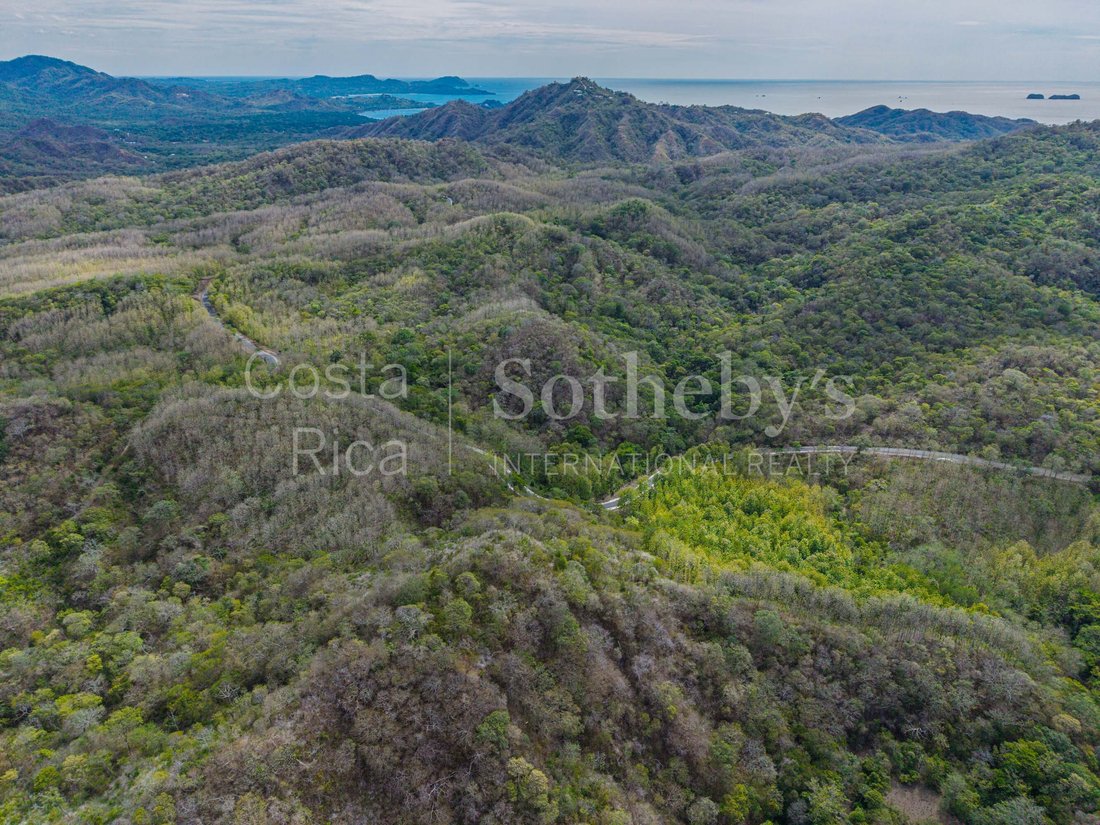 Terrain à Carrillo, Carrillo, Costa Rica 5 - 19091853