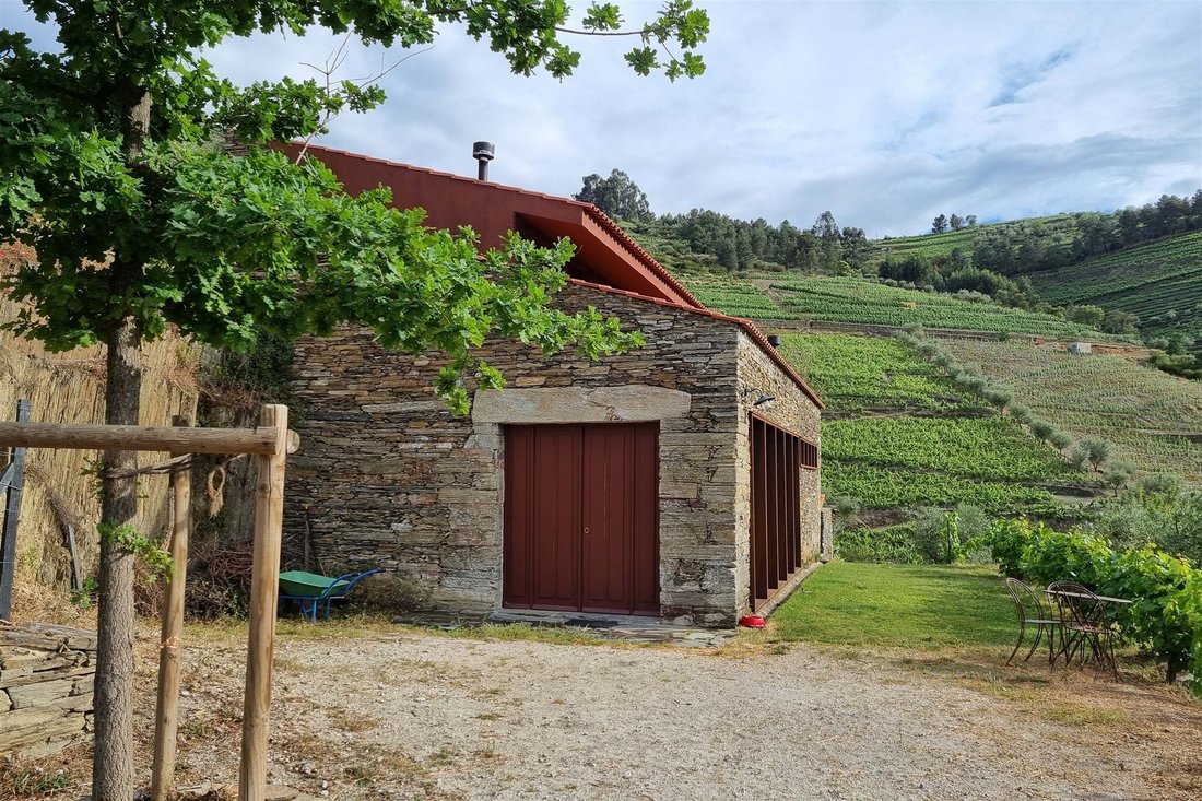 Farm Ranch in Tabuaco, Viseu, Portugal 2 - 19091794
