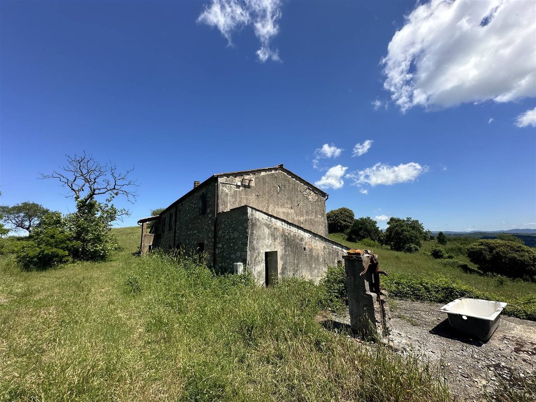 Landhaus in Scansano, Toskana, Italien 5 - 19087401