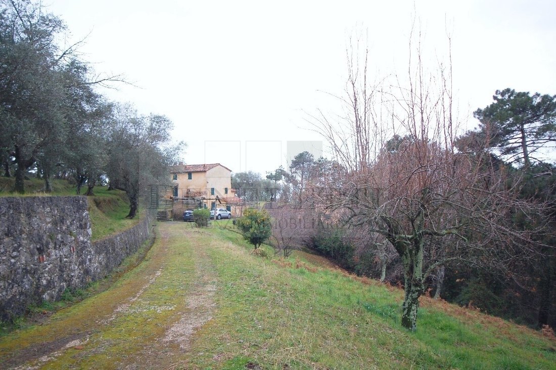 Maison à Pietrasanta, Toscane, Italie 3 - 19087341