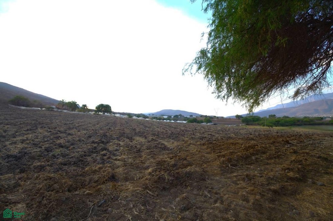 Terreno a San Martin, Jalisco, Messico 1 - 17845434