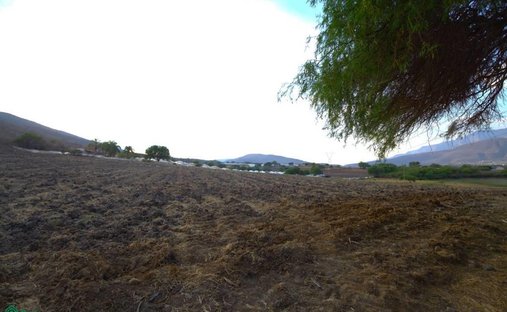 Terreno en San Martín, Jalisco, México 1