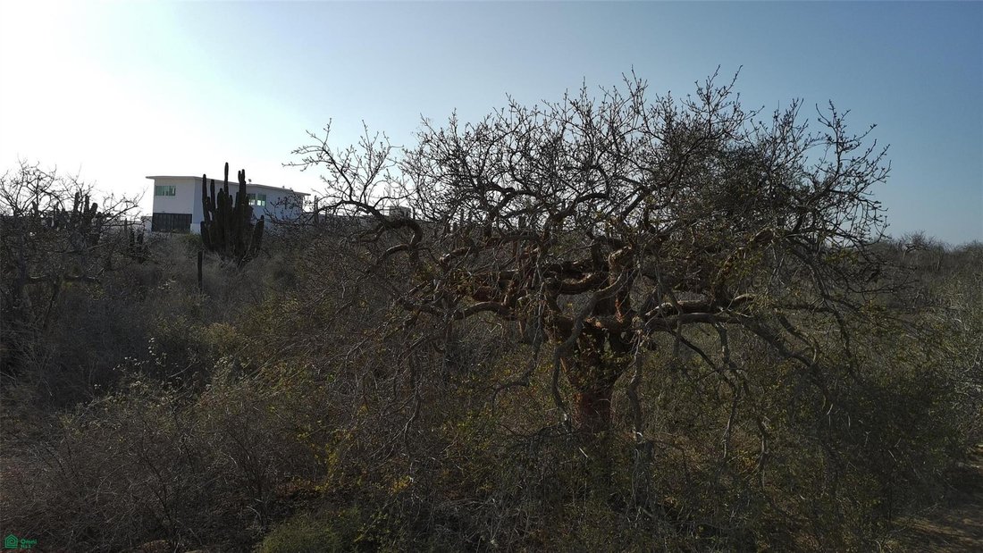 Terreno en El Pozo de Cota, Baja California Sur, México 5 - 18612372